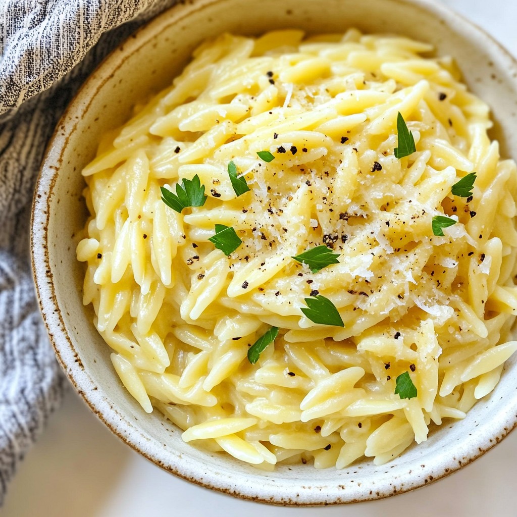 Creamy Garlic Parmesan Orzo Rich and Flavorful Dish